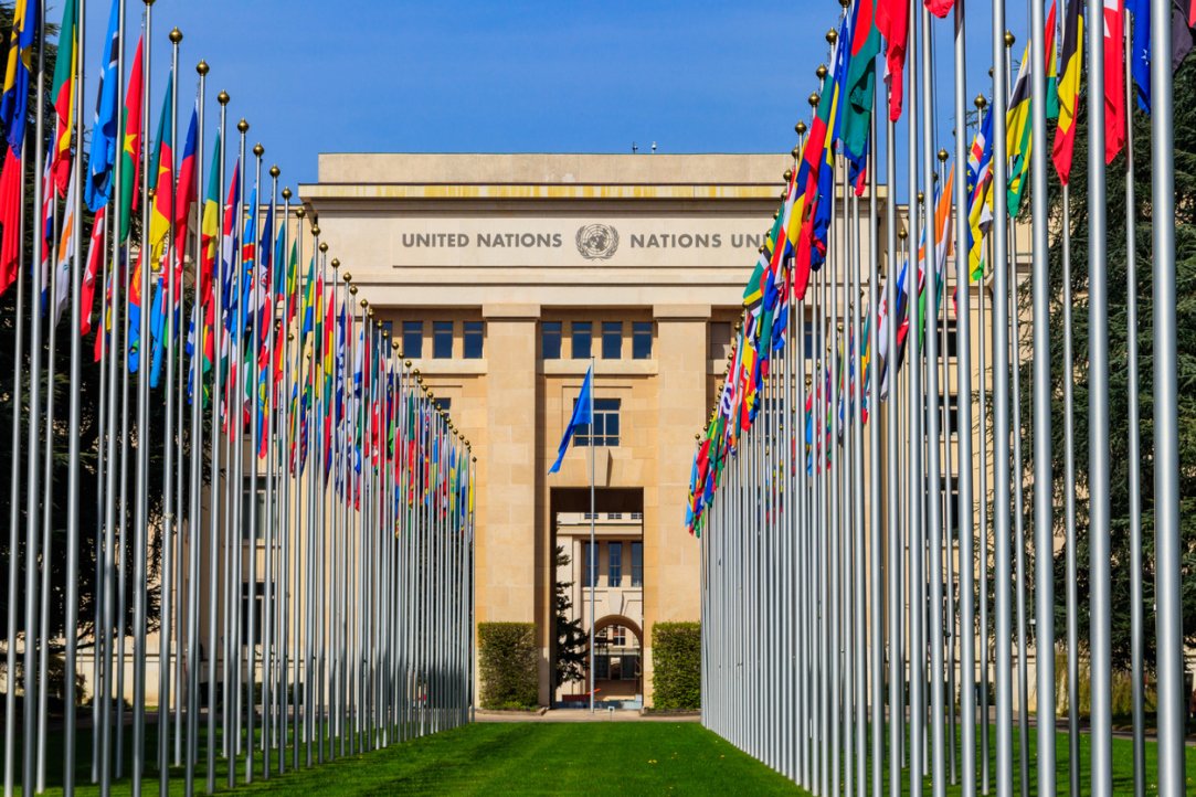 Director of the HSE International Research and Educational Foresight Centre Participates in UN Commission Meeting in Geneva